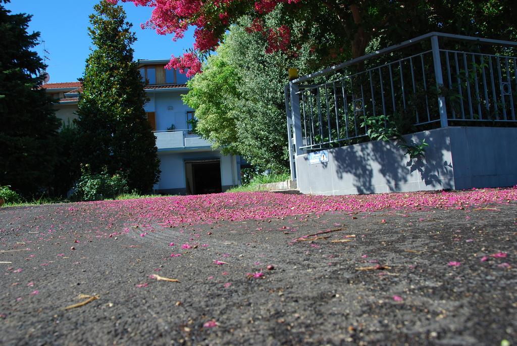 Bed and Breakfast Bianco Nuvola Montecchio  Номер фото